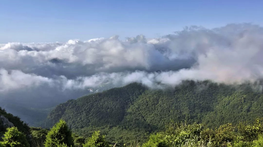 尤如隱藏在楚北境內的一顆明珠 一處絕秘仙境 大洪山 是佛教聖地 中國