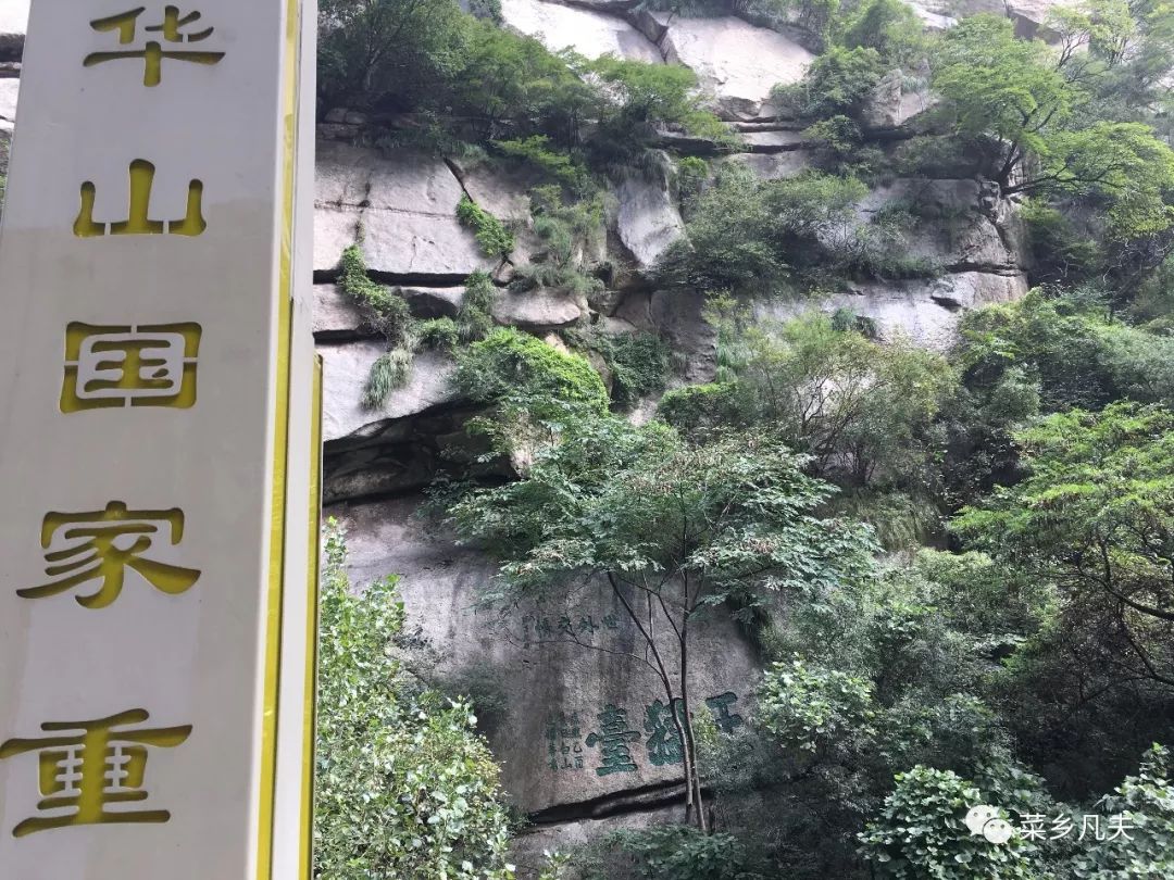 华山的寿光元素