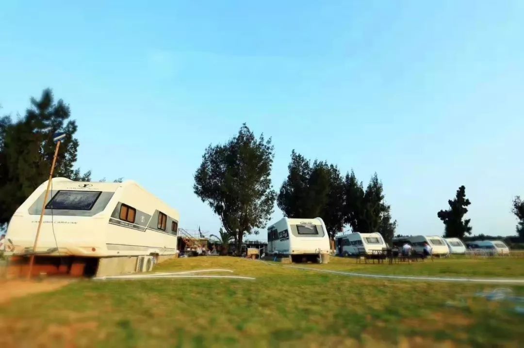 碣石镇目前最雅致的餐厅,鲲鹏海宴旅游度假营地举办高格调校友会