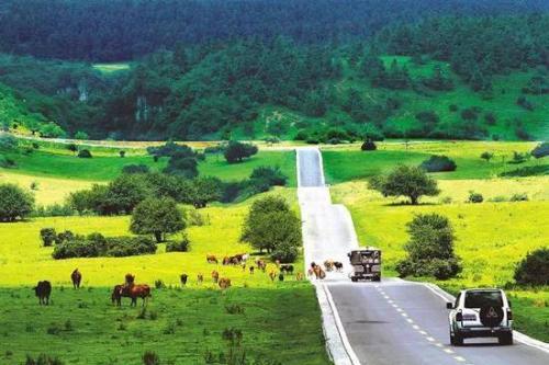 重庆武隆仙女山景区大草原,菩萨坨,通天塔,仙女石,仙女池景区景点