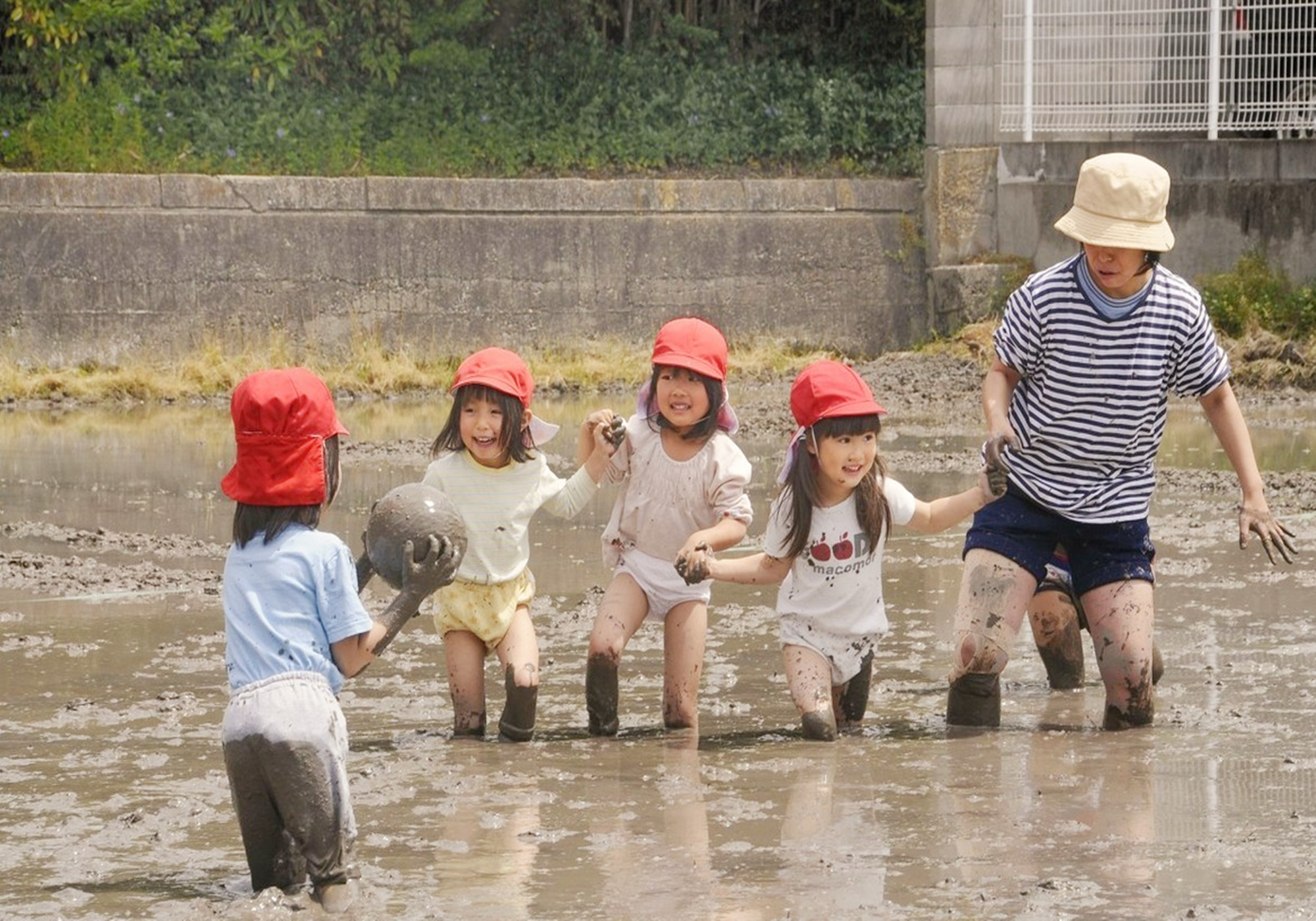 新开幼儿园课程模式模仿日本体系家长对此褒贬不一你会选吗