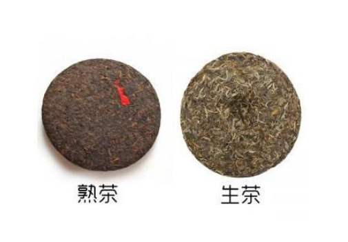 普洱生茶和熟茶的区别