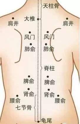 按摩背部的好处体现在下面这些方面 1