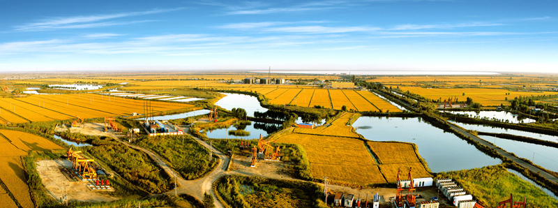 大洼的农垦事业可追溯到1928年著名爱国将领张学良将军创建的营田公司