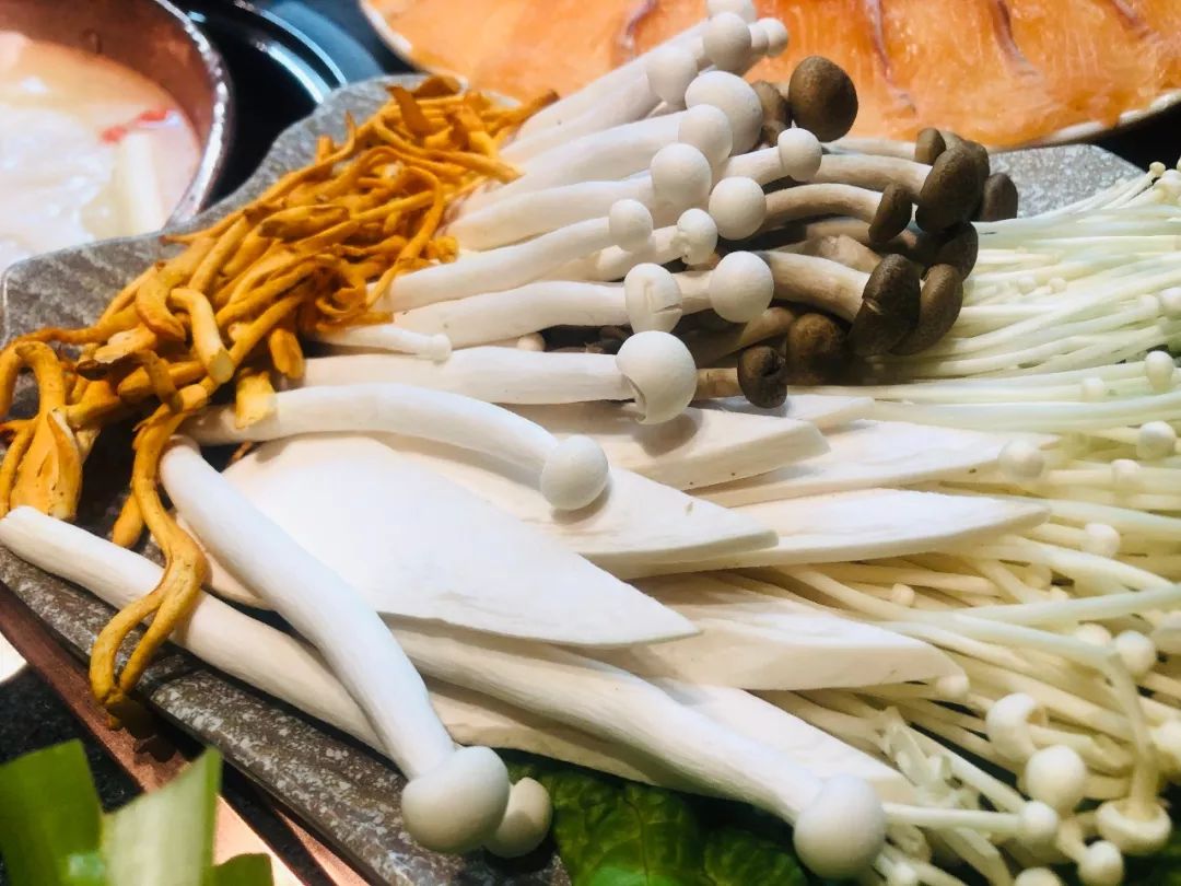 菌菇拼盘 包含多种菌类 一窝菌 ,  金针菇 ,  鸡腿菇 ,  虫草花 新鲜
