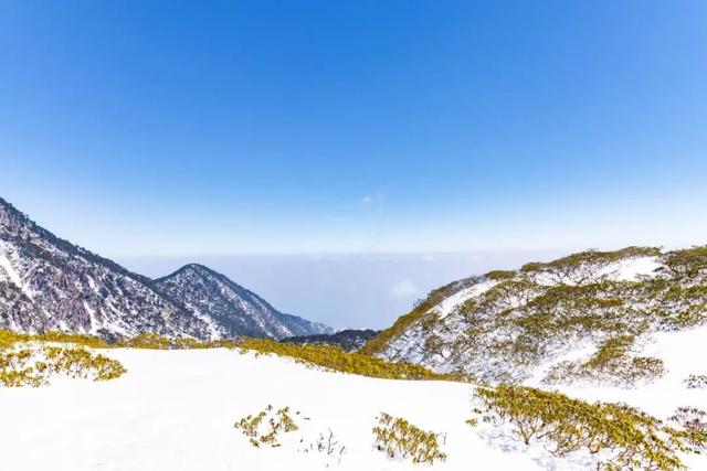 大理著名四景之一,只在海拔3000米以上的苍山,观赏期很短!