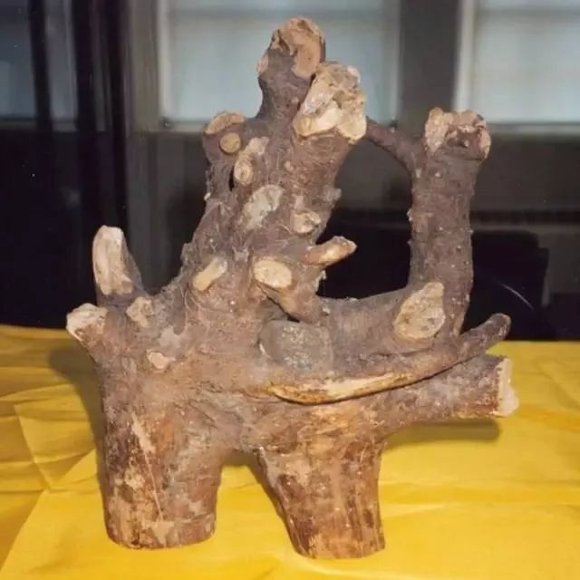 中国有句俗话:"手拿着乾屎橛,你给他麻花他不换.