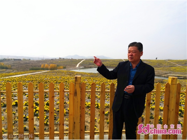 泰安良心谷扮靓美丽乡村为乡村振兴注入新活力