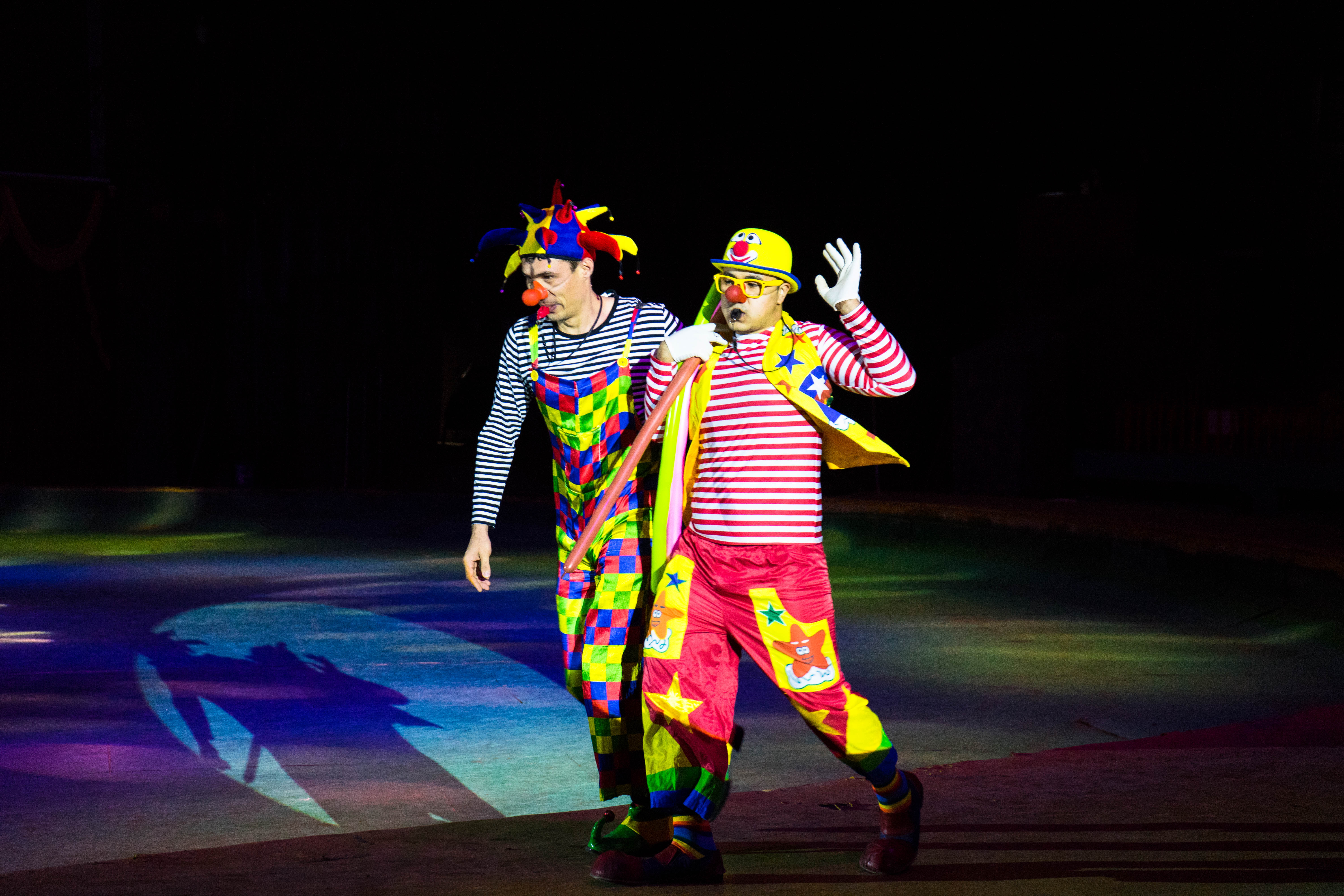 里面的大马戏演艺中心看表演真的太震撼了.