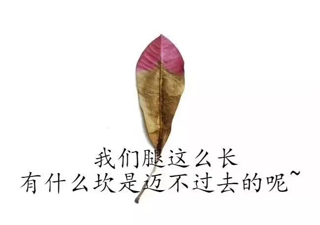 適合發朋友圈說說的經典心情句子句句入人心