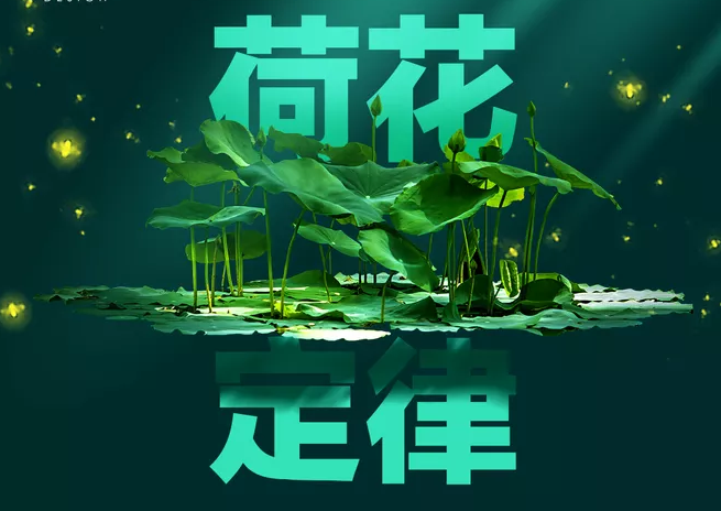 到第29天时荷花仅仅开满了一半,直到最后一天才会开满另一半.