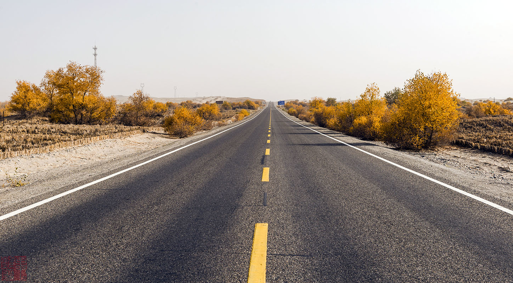 和阿沙漠公路及胡杨