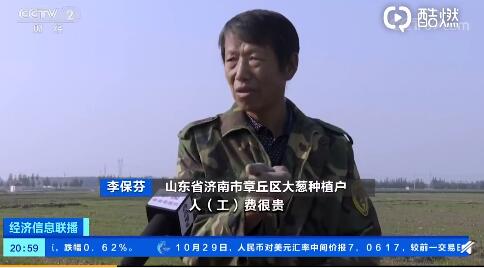 (章丘大葱价格今日价格批发)山东章丘大葱价格腰斩，种植户亩亏过千元！但有些种植户却不愁，咋回事？