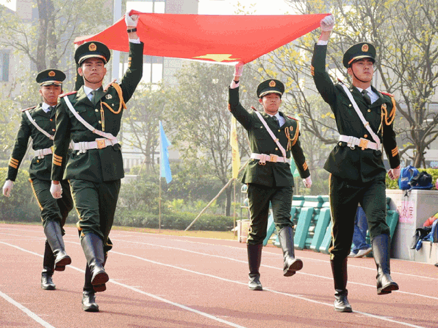 佛山北大培文 | 碧桂园幼儿园阳光体育节盛大开幕,快来选出你心中的