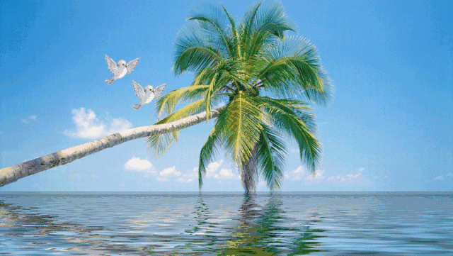 640_361gif 动态图 动图