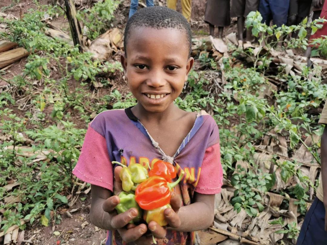 终于，有人要对&ldquo;老干妈&rdquo;下手了！