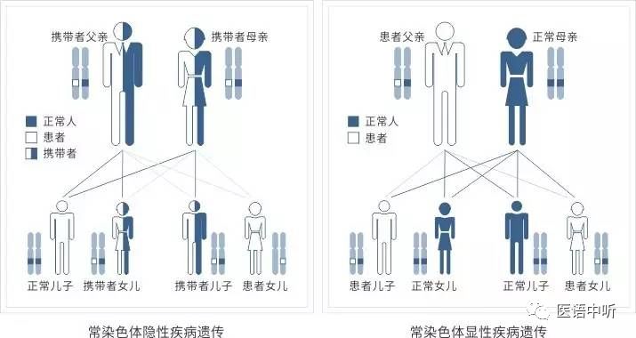 什么是遗传病?什么是传染病?有何区别