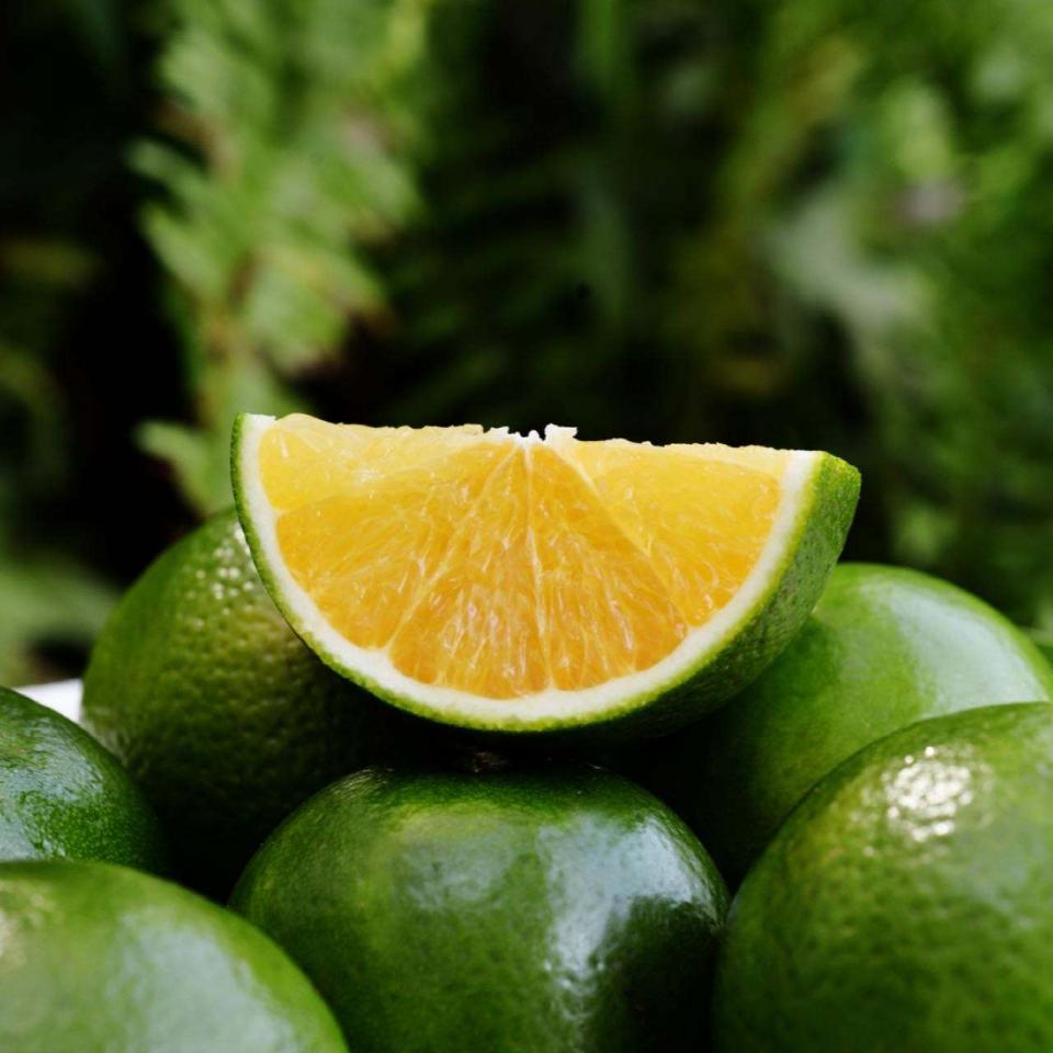 2,盛果期绿橙的修剪:盛果期树冠向外生长逐渐减弱