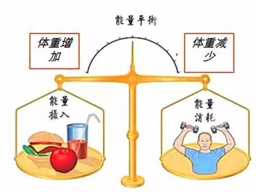 人体能量代谢的最佳状态是达到能量摄入与能量消耗的平衡.