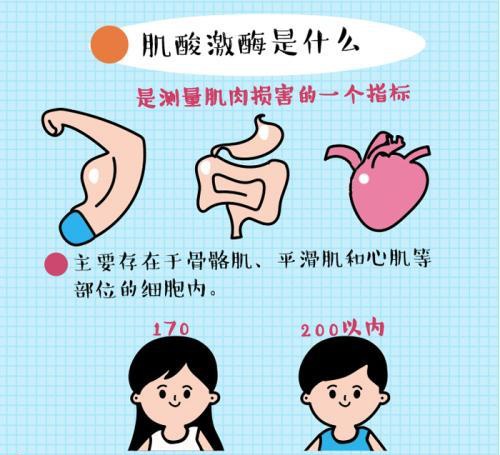 健身小课堂丨用力过猛得横纹肌溶解症麻烦了