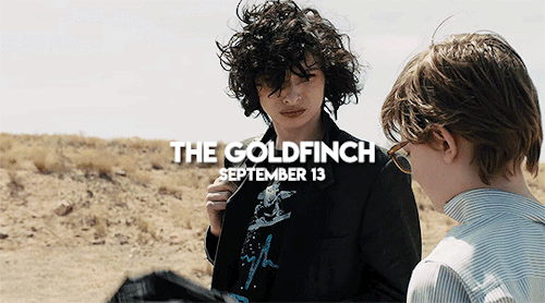 500_278gif 动态图 动图