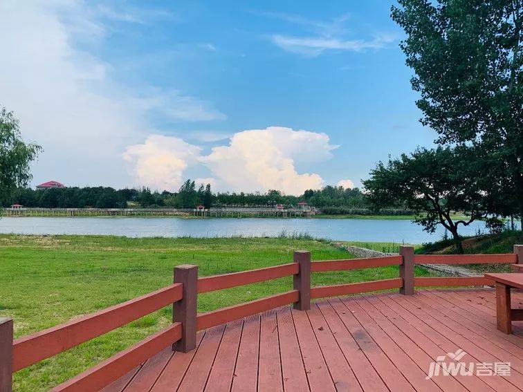 南阳麒麟花海丨山间溪水 鸟叫蝉鸣 浩瀚银河 心灵归所