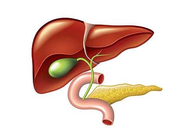 医学揭秘:诱发胆囊癌的8大罪魁祸首