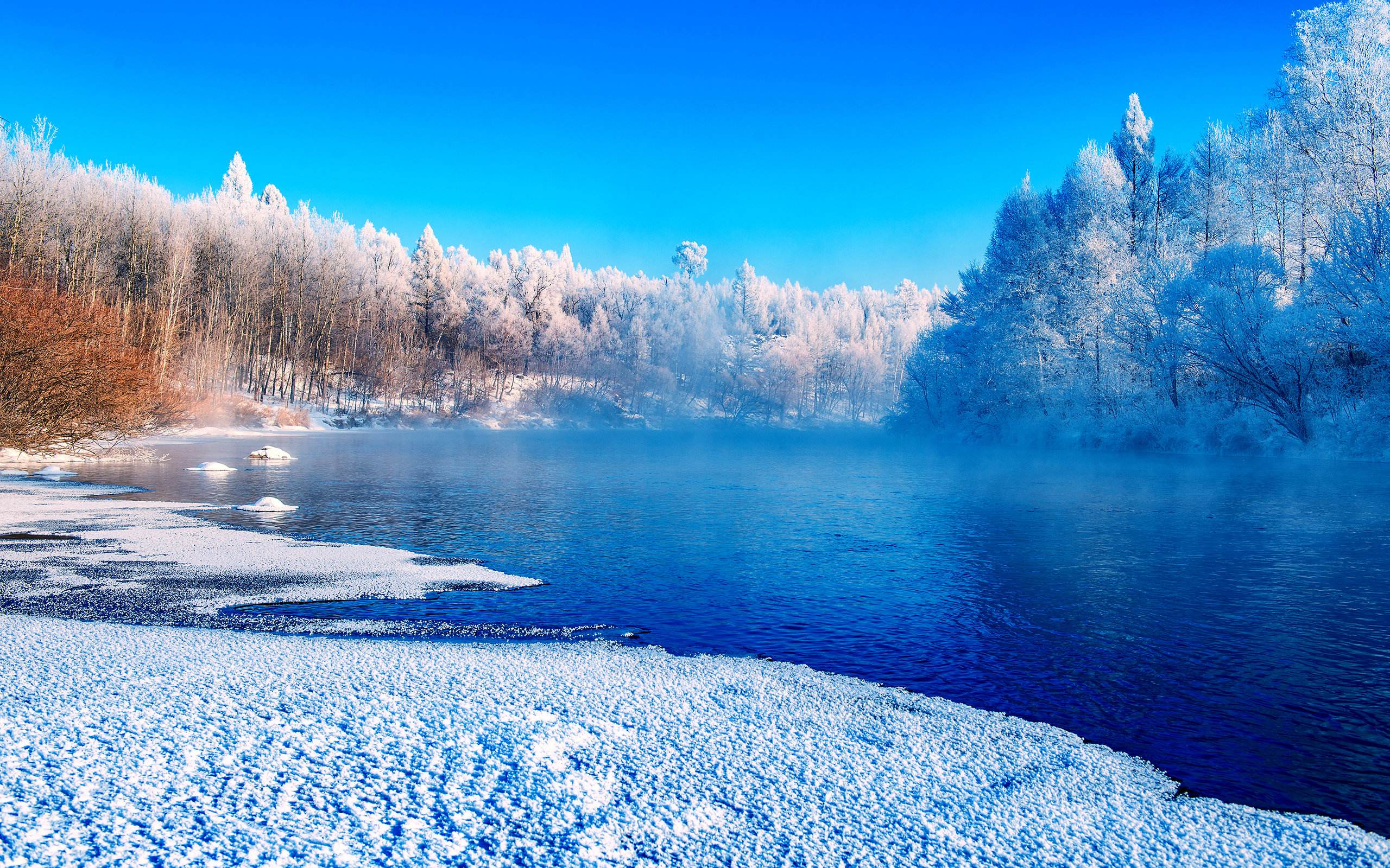 冬天的美景图片梦幻图片