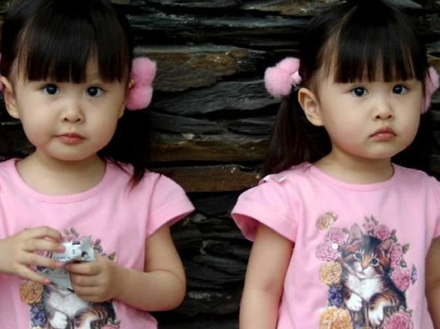 张杰谢娜现身民政局被指离婚,真相曝光后,网友只有羡慕的份