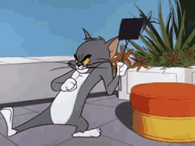 ▼大概就像这样.都看过《猫和老鼠》吧?