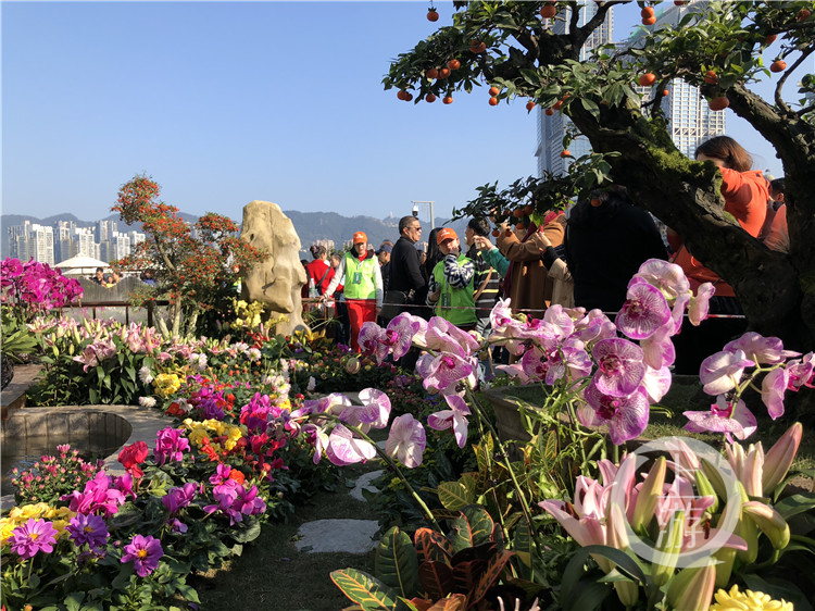 此外,还会以城市花博会为平台,组织"山水重庆"室外景点布展邀请赛.