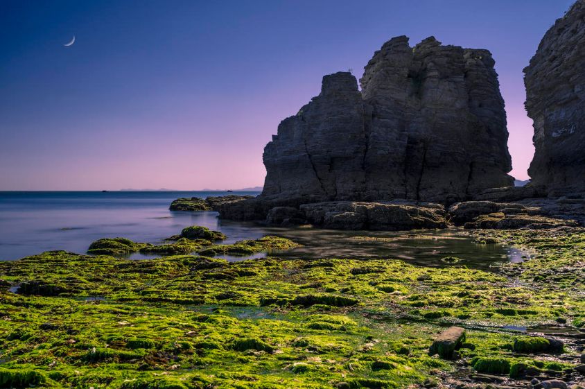 在这原始的岛屿,竟有如此多不可告人的秘密