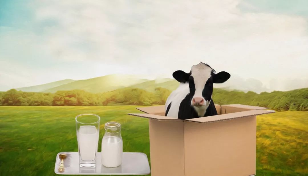 蒙牛的两个不确定