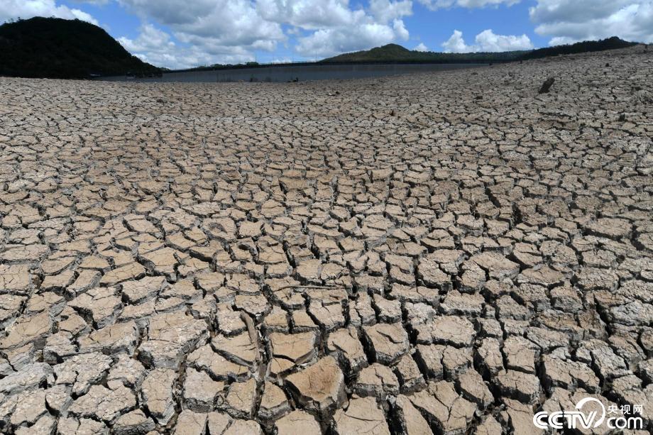 洪都拉斯遭遇干旱天气致饮用水源干涸