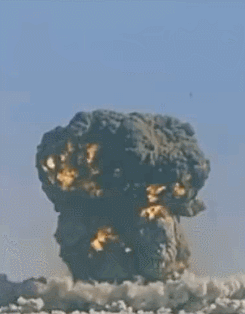 245_314竖版 竖屏gif 动态图 动图