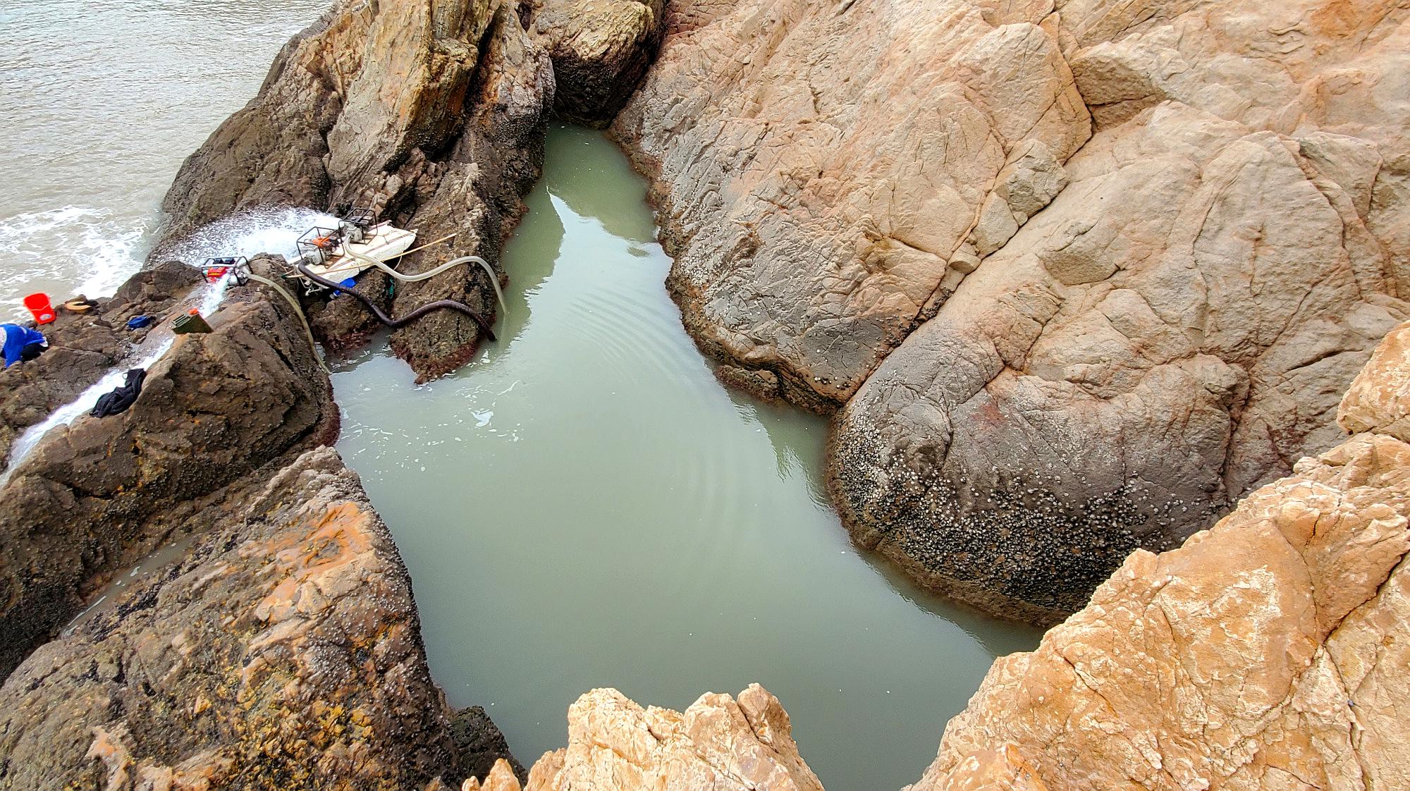 鱼群搁浅四米深大水坑,用四小时抽干后,坑底场景让小伙不淡定了