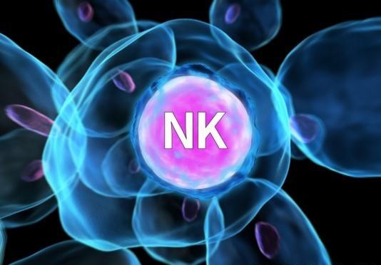 关于免疫疗法你了解多少?nk细胞免疫联合疗法,提高癌患生存期