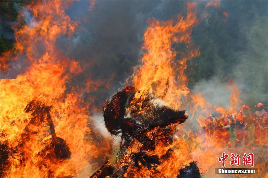 甘肃陇南森林消防员火海炼真功