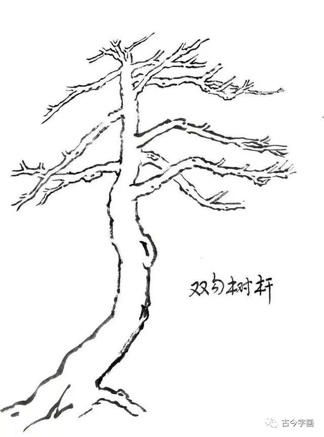 用狼毫笔调中等墨色,用有变化的中锋线条勾出松树的轮廓.