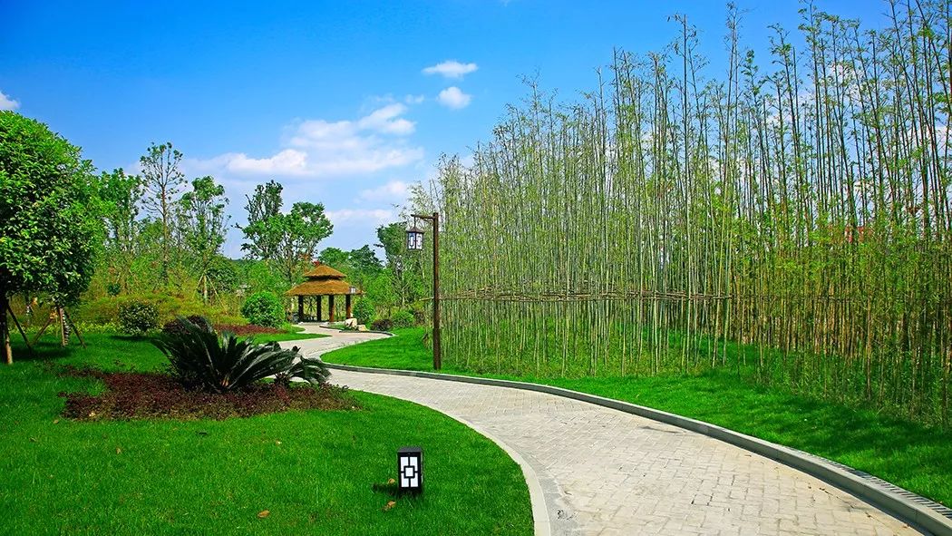 创建国家森林城市丨宜居眉山焕新幸福生活