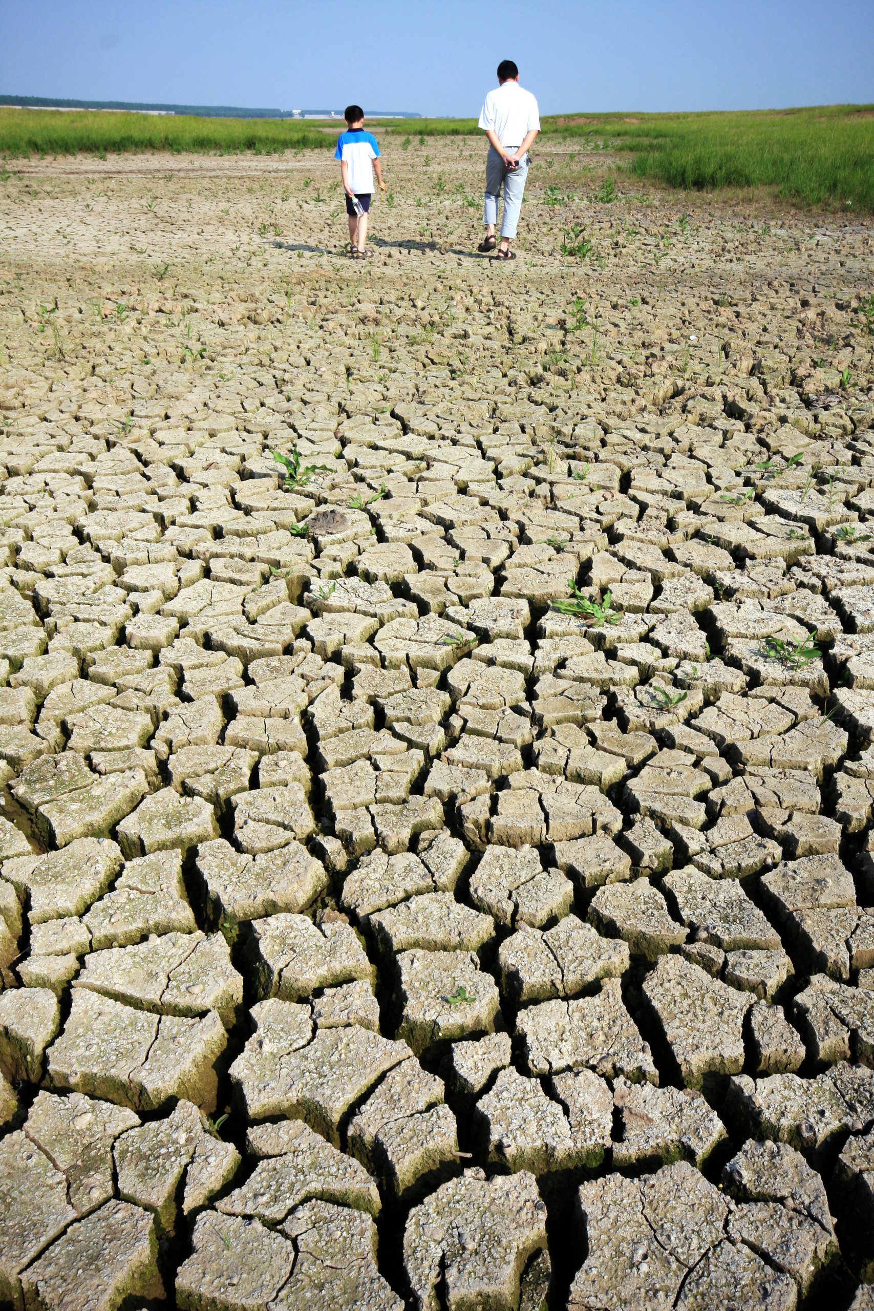 地球的一半以基于自然的解决方案应对气候变化