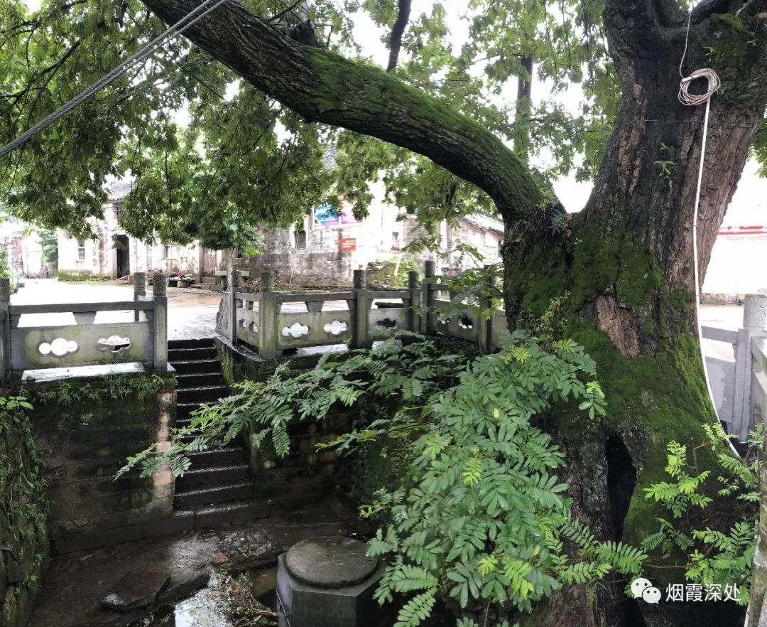 千年繁盛地,丞相外婆家:仙居縣橫溪鎮溪頭村(古村行065)