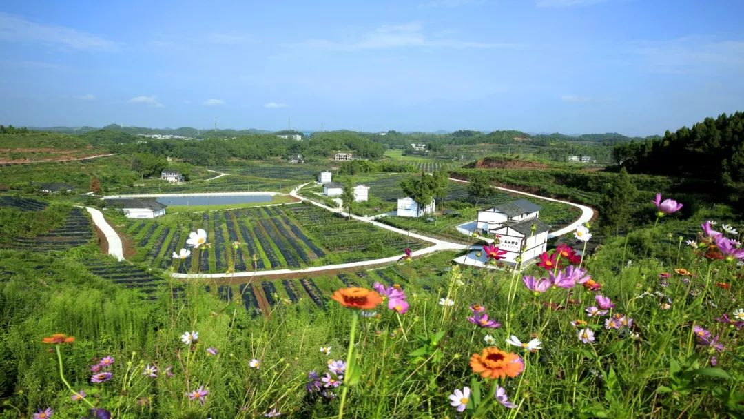 南部乡村70年蝶变:农村美了 产业旺了 文化丰富了