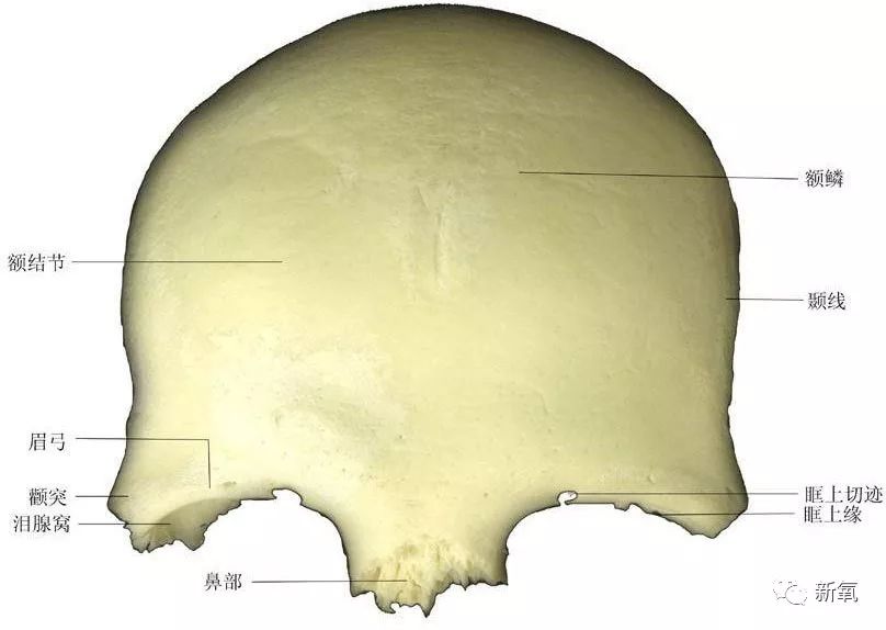 不用掀开头皮垫额骨也能get林青霞同款完美头骨