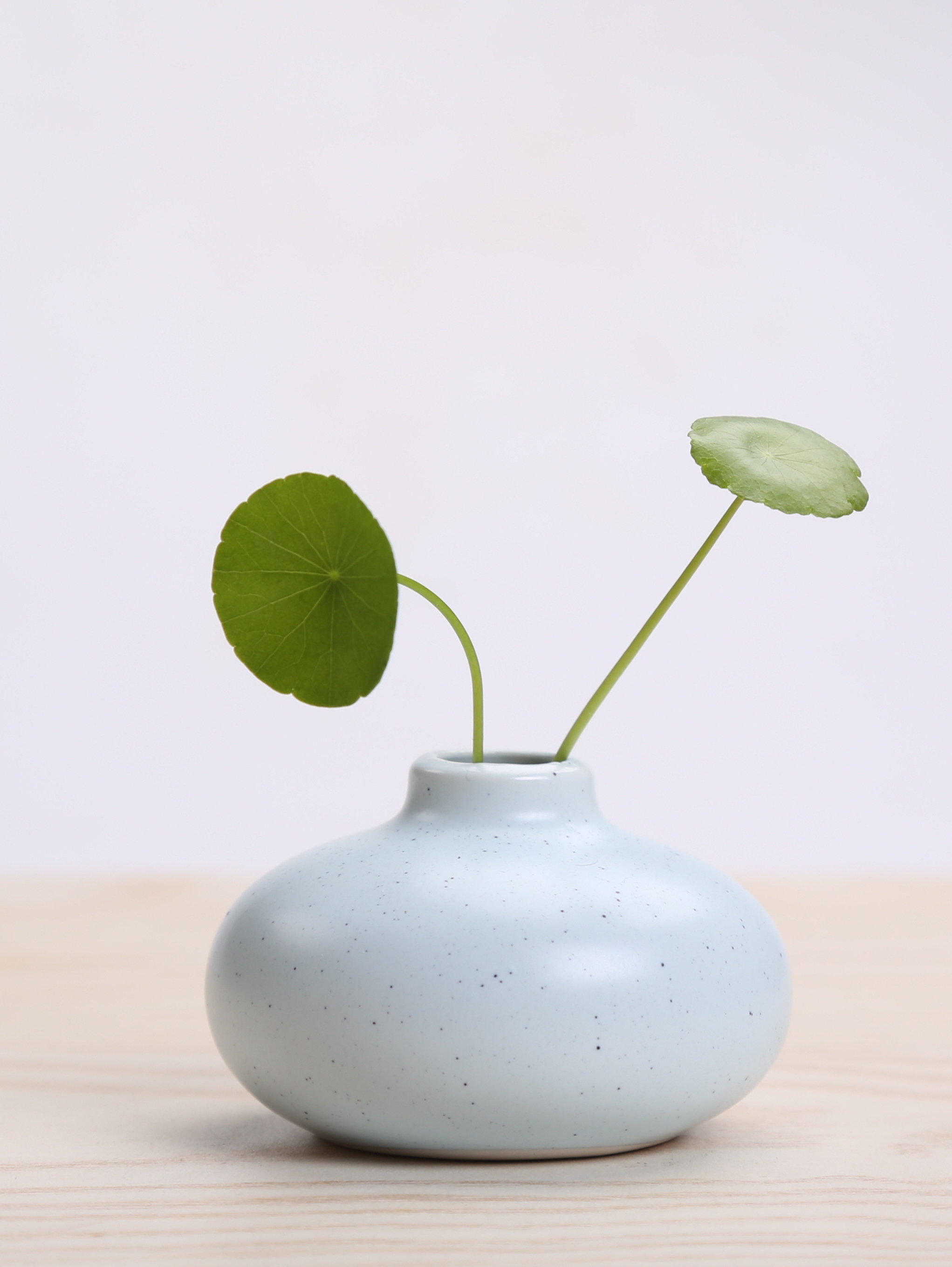 禅意插花器花瓶,不仅可以用来插花,还可以单独作为家居装饰品使用