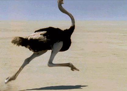 后面跟着,那十有八九是鸵鸟这家伙在跟你较劲pk……人家不光喜欢超车