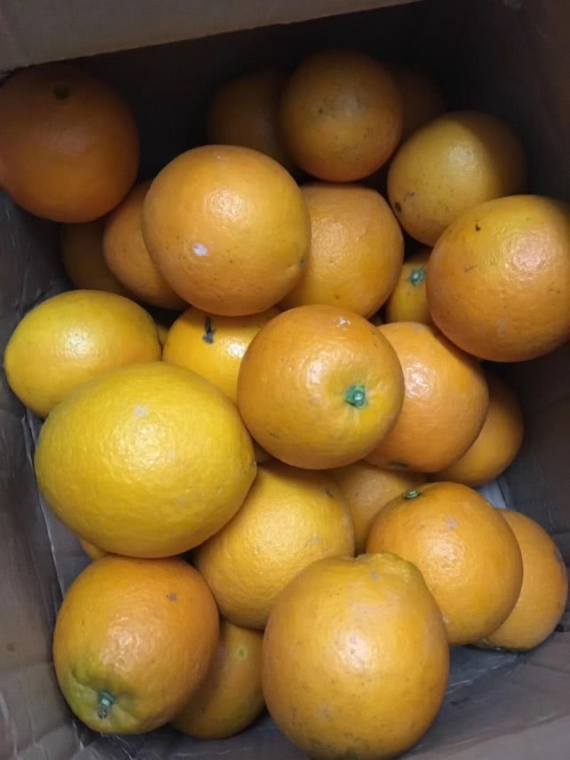 然后观察脐橙体积,不要挑选体型小的,因为体型小说明果树生长不佳