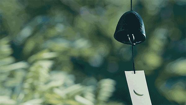 600_338gif 动态图 动图