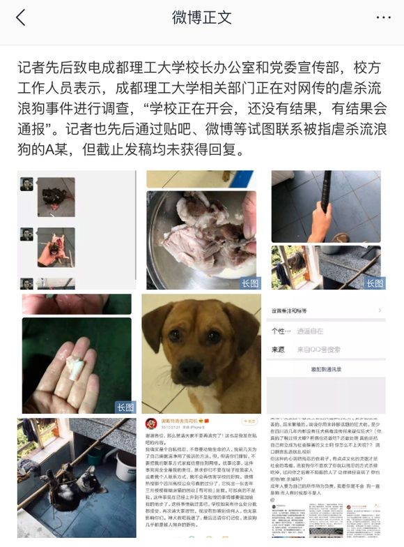 名奥斯特洛夫斯基的网友在百度贴吧神犬吧中发布自己自己的屠狗照片