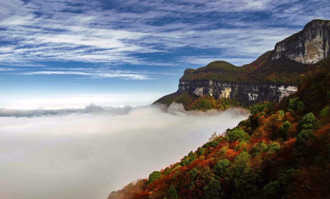 金佛山·福南川丨又到看彩林的季节,错过了要后悔!